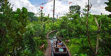 新加坡河川生態園門票